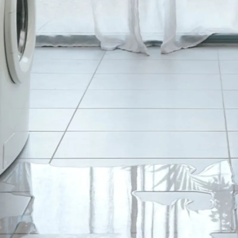 Appliance Leak Cleanup in West Hollywood, FL