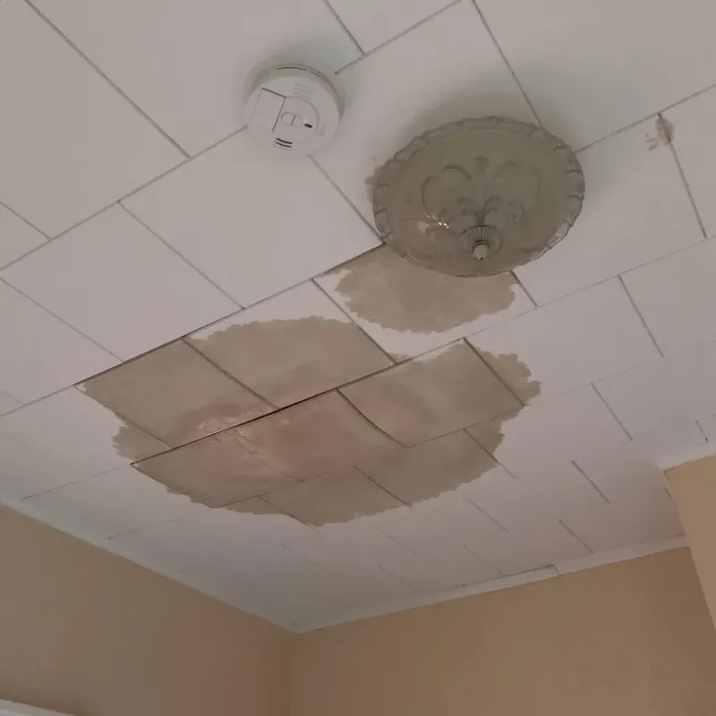 Ceiling Water Damage Repair in West Hollywood, FL